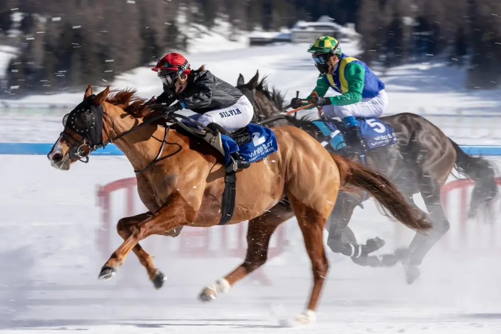 white-turf St. Moritz