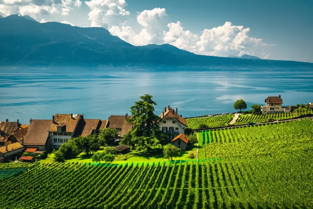 Geneva vineyards villa